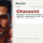Ghasasini Name Meaning and Details