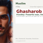 Ghasharob Name Meaning and Details