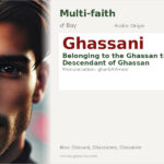 Ghassani Name Meaning and Details