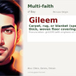 Gileem Name Meaning and Details