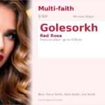 Golesorkh Name Meaning and Details