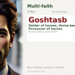 Goshtasb Name Meaning and Details