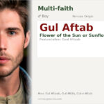 Gul Aftab Name Meaning and Details