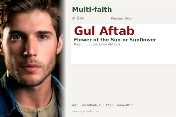 Gul Aftab Name Meaning — Persian Origin, Boy Name & Details (2025)