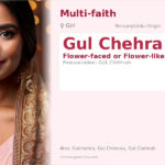 Gul Chehra Name Meaning and Details