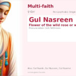 Gul Nasreen Name Meaning and Details