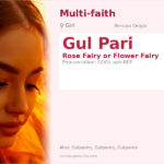 Gul Pari Name Meaning and Details
