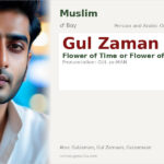 Gul Zaman Name Meaning and Details