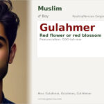 Gulahmer Name Meaning and Details
