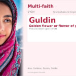 Guldin Name Meaning and Details
