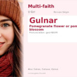 Gulnar Name Meaning and Details