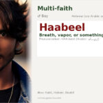 Haabeel Name Meaning and Details