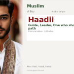 Haadii Name Meaning and Details