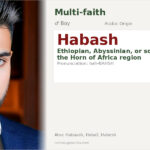 Habash Name Meaning and Details