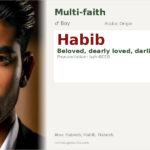 Habib Name Meaning and Details