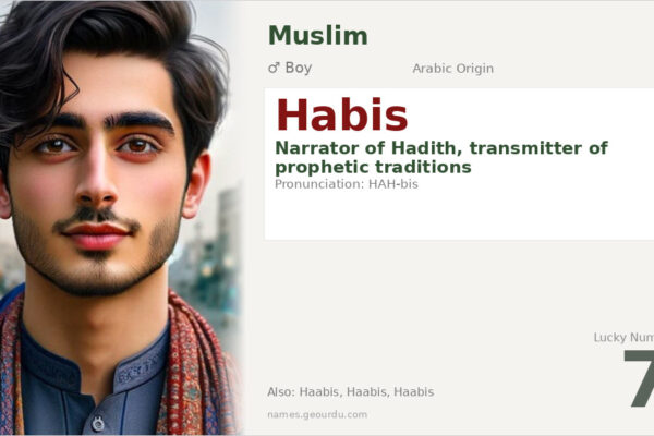 Habis Name Meaning — Arabic Origin, Boy Name & Islamic Significance (2025)