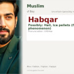 Habqar Name Meaning and Details