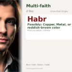 Habr Name Meaning and Details