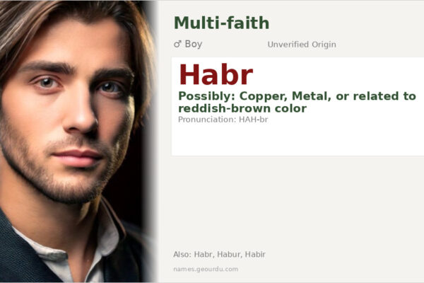 Habr Name Meaning — Origin, Gender & Details (2025)