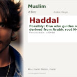 Haddal Name Meaning and Details