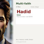 Hadid Name Meaning and Details