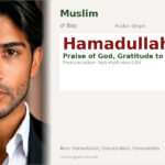 Hamadullah Name Meaning and Details