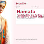 Hamata Name Meaning and Details