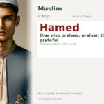 Hamed Name Meaning and Details