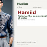 Hamiid Name Meaning and Details