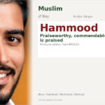 Hammood Name Meaning and Details