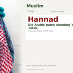 Hannad Name Meaning and Details