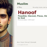 Hanoof Name Meaning and Details