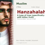 Hanzahalah Name Meaning and Details
