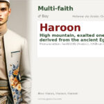 Haroon Name Meaning and Details