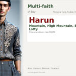 Harun Name Meaning and Details