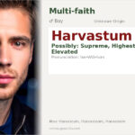 Harvastum Name Meaning and Details