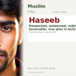 Haseeb Name Meaning and Details