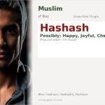 Hashash Name Meaning and Details