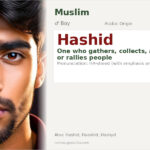 Hashid Name Meaning and Details