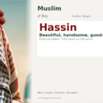 Hassin Name Meaning and Details