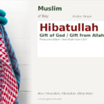 Hibatullah Name Meaning and Details