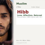 Hibb Name Meaning and Details
