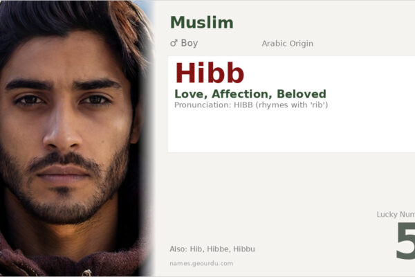 Hibb Name Meaning — Arabic Origin, Love & Details (2025)