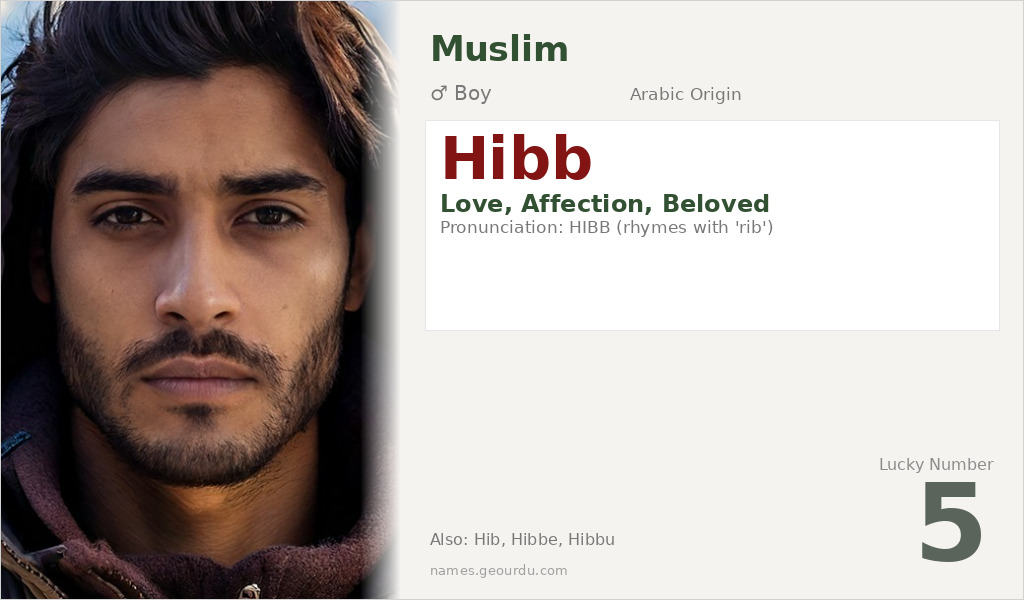 Hibb Name Meaning and Details