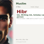 Hibr Name Meaning and Details