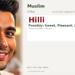 Hilli Name Meaning and Details