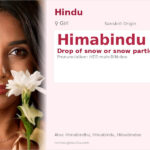 Himabindu Name Meaning and Details