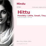 Hittu Name Meaning and Details