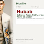 Hubab Name Meaning and Details