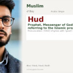 Hud Name Meaning and Details